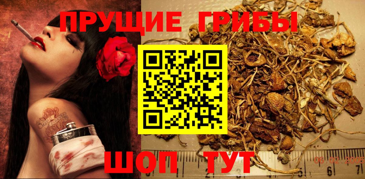 Галлюциногенные грибы Cubensis Кузнецк